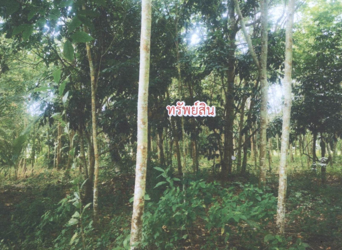 Residential land/lot Songkhla Na Thawi Na Thawi 170240