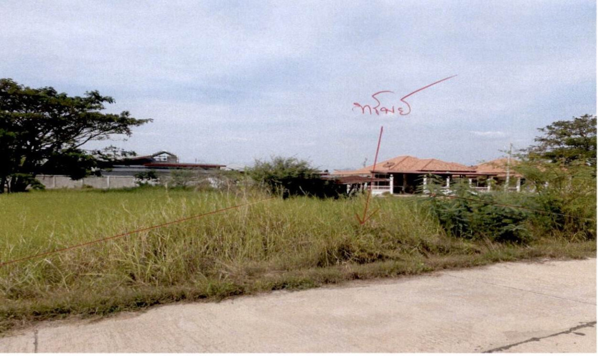 ที่ดินเปล่า เพชรบูรณ์ บึงสามพัน บึงสามพัน 170430