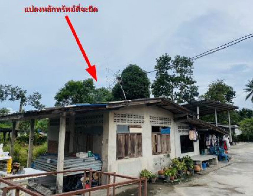 บ้านเดี่ยว นครศรีธรรมราช เมืองนครศรีธรรมราช นาทราย 599440