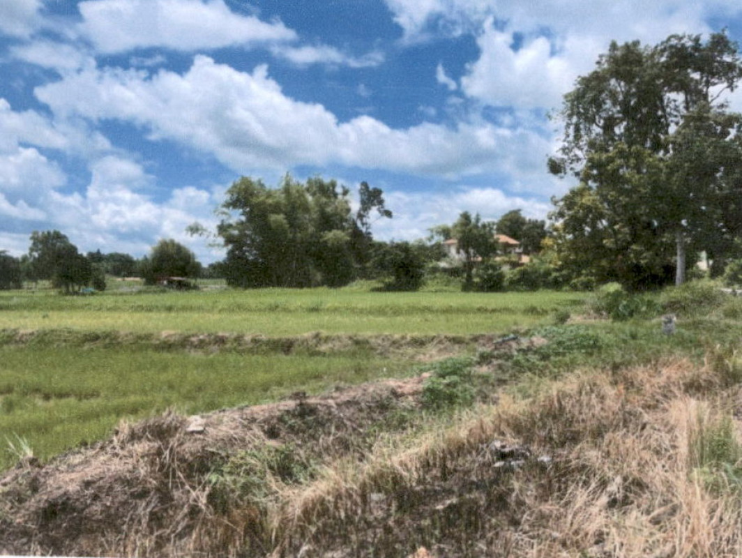 Residential land/lot Kalasin Mueang Kalasin Lam Khlong 135450