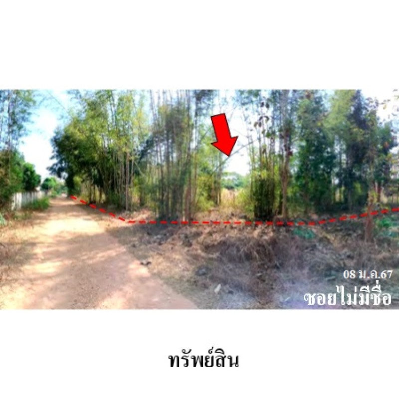 ที่ดินเปล่า ลำปาง งาว หลวงเหนือ 2383600