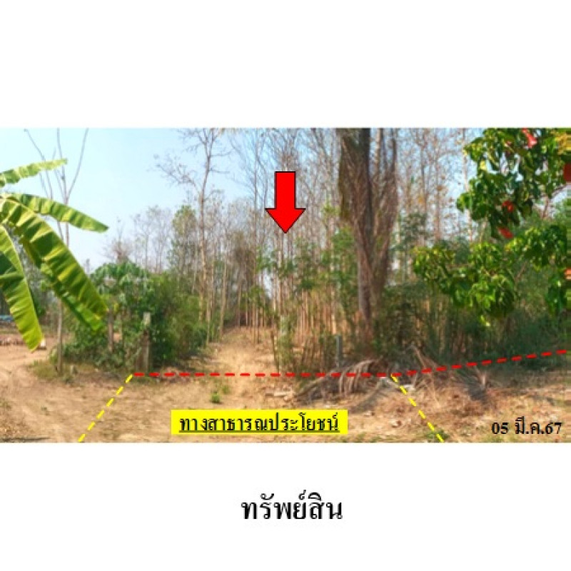 Residential land/lot Lampang Ko Kha Na Kaeo 1010000