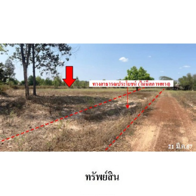 Residential land/lot Sakon Nakhon Sawang Daen Din Sawang Daen Din 1120000