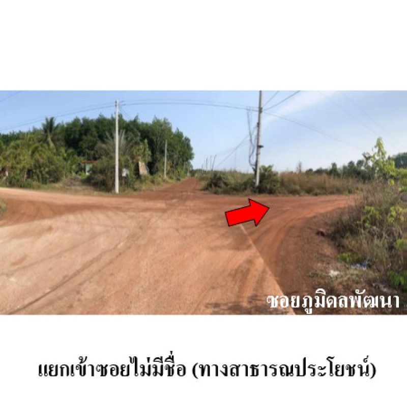 Residential land/lot Sakon Nakhon Sawang Daen Din Sawang Daen Din 1120000