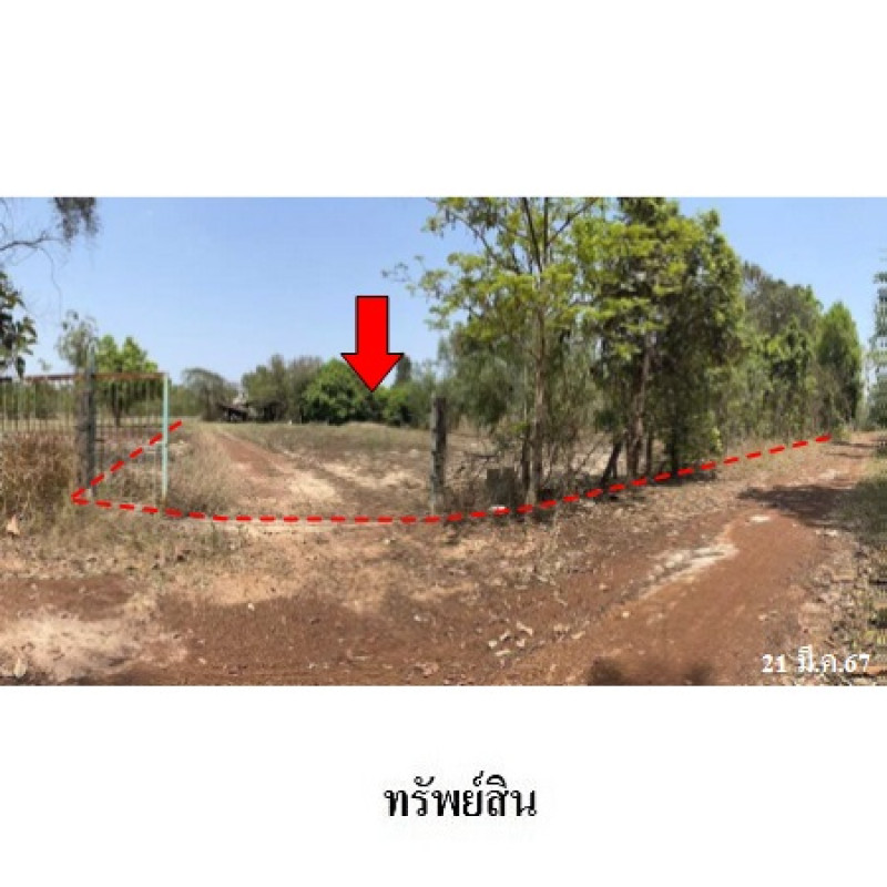 Single house Sakon Nakhon Sawang Daen Din Sawang Daen Din 1530000