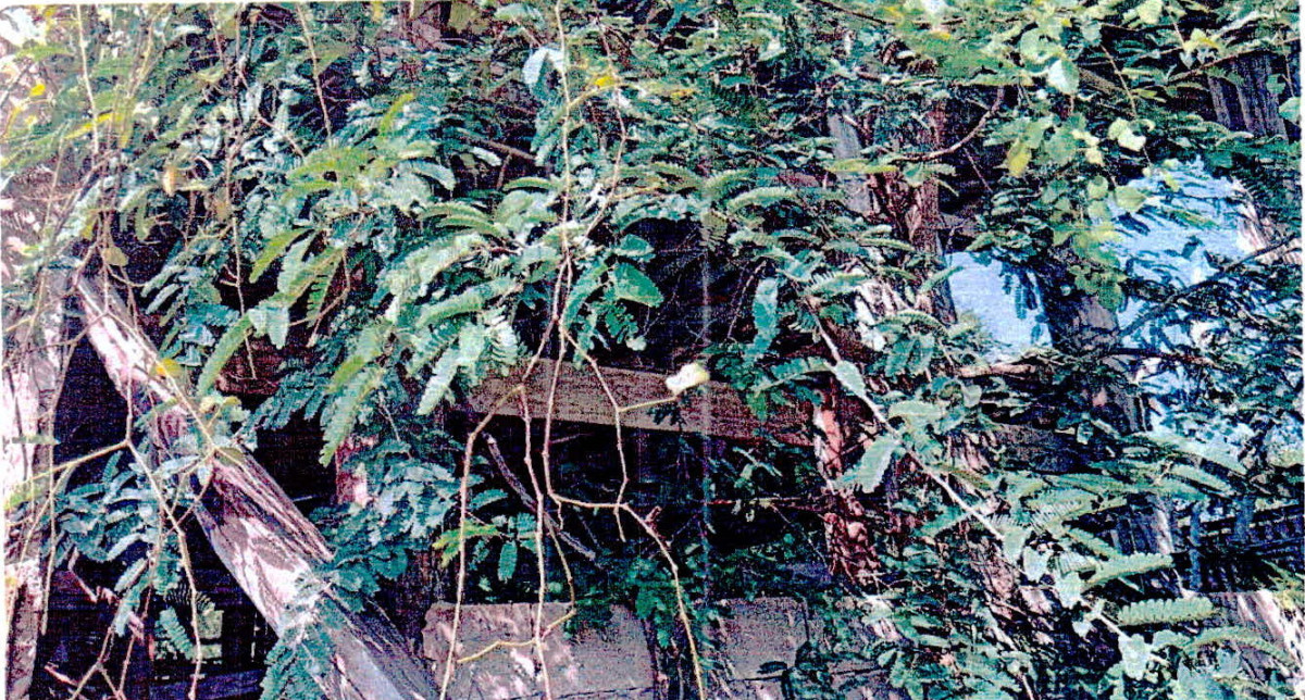 บ้านเดี่ยว ลำปาง เมืองปาน เมืองปาน 463800