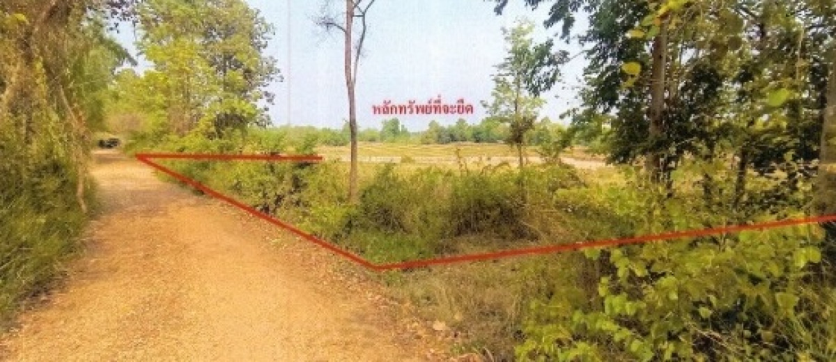 Residential land/lot Kalasin Kuchinarai Chaen Laen 735000