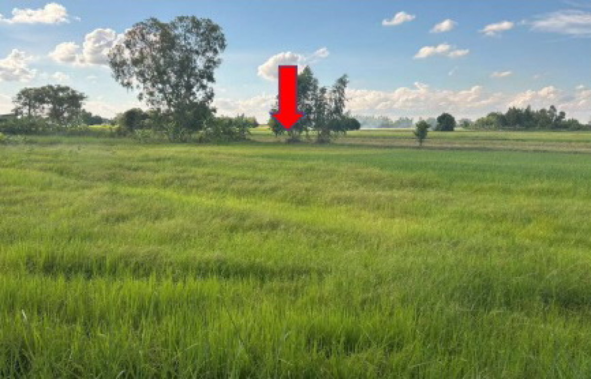 ที่ดินเปล่า กาฬสินธุ์ สามชัย หนองช้าง 750000