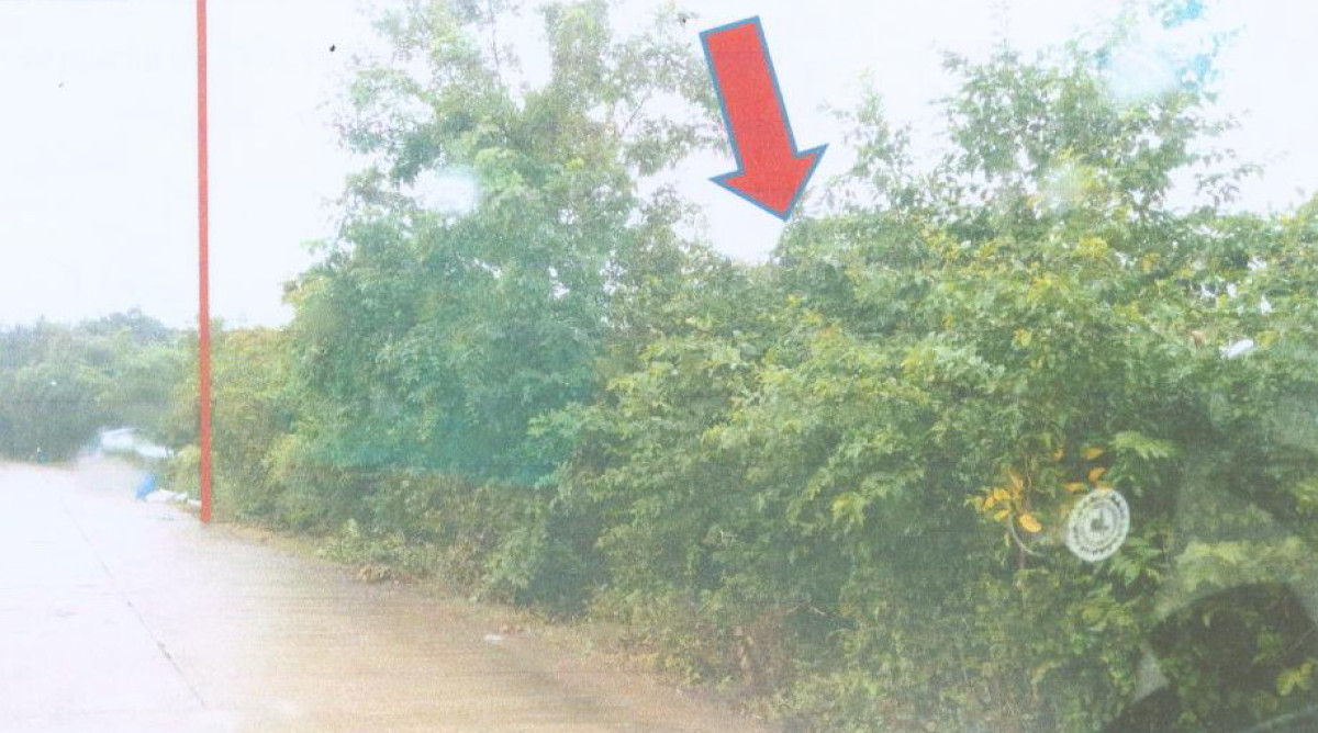 ที่ดินเปล่า ลพบุรี ชัยบาดาล ลำนารายณ์ 3289650