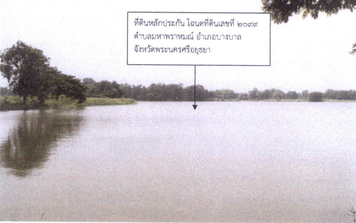 ที่ดินเปล่า พระนครศรีอยุธยา บางบาล มหาพราหมณ์ 548000