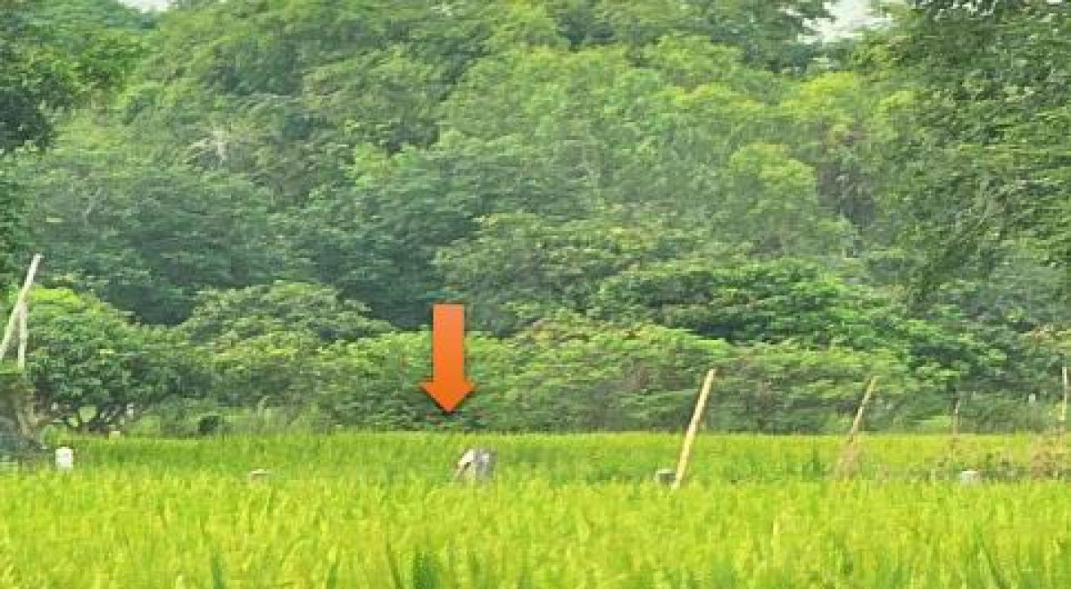 Residential land/lot Maha Sarakham Mueang Maha Sarakham Khewa 330000