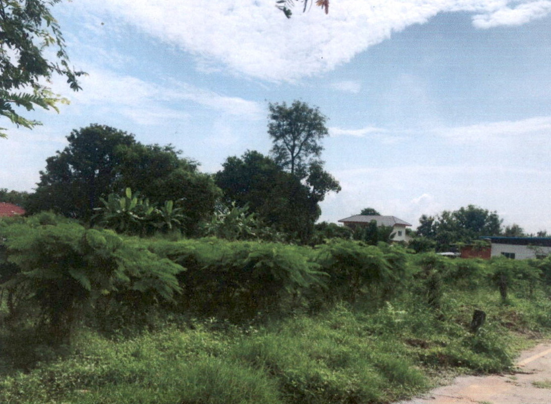 ที่ดินเปล่า กาฬสินธุ์ เมืองกาฬสินธุ์ ลำพาน 305000