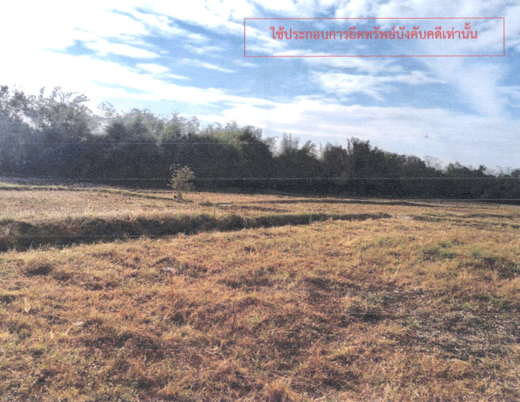 ที่ดินเปล่า กาฬสินธุ์ สมเด็จ แซงบาดาล 960000