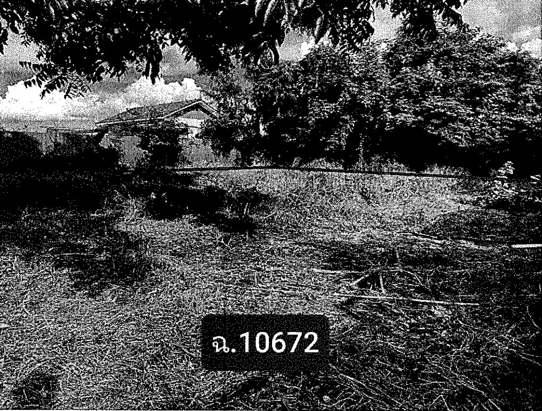 ที่ดินเปล่า ลพบุรี สระโบสถ์ สระโบสถ์ 25750