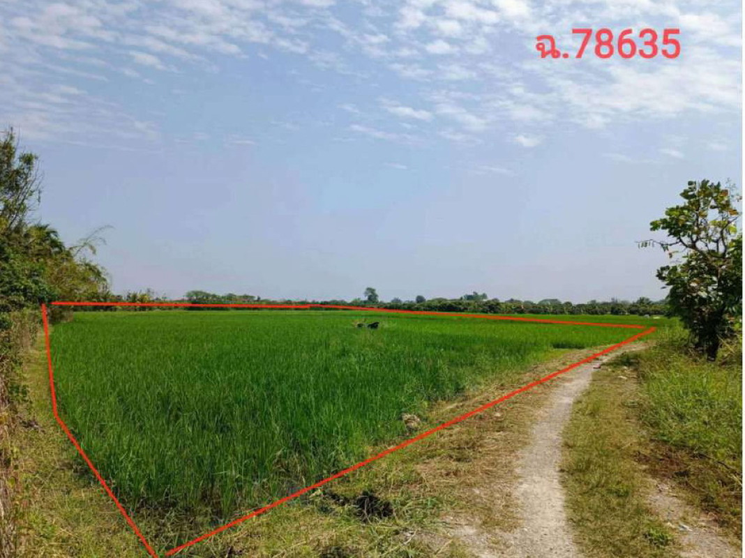 ที่ดินเปล่า เชียงใหม่ สันป่าตอง ทุ่งต้อม 510500