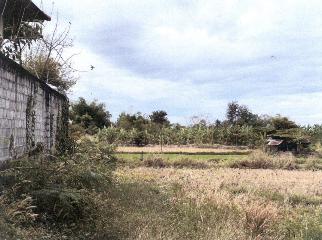 ที่ดินเปล่า กาฬสินธุ์ เมืองกาฬสินธุ์ ลำปาว 105000