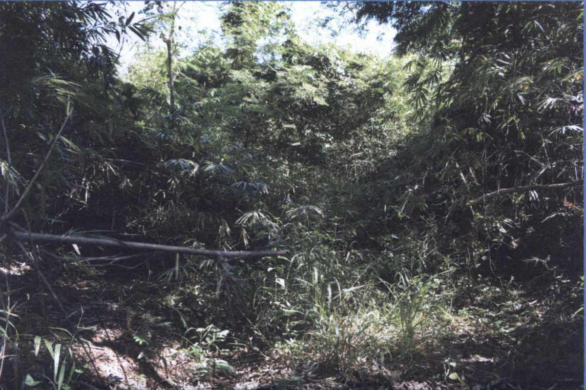Residential land/lot Lampang Hang Chat Nong Lom 302250