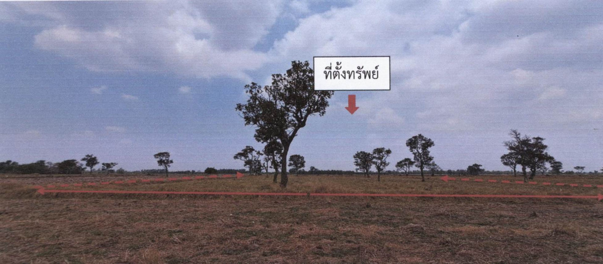 ที่ดินเปล่า สุรินทร์ ชุมพลบุรี นาหนองไผ่ 171300