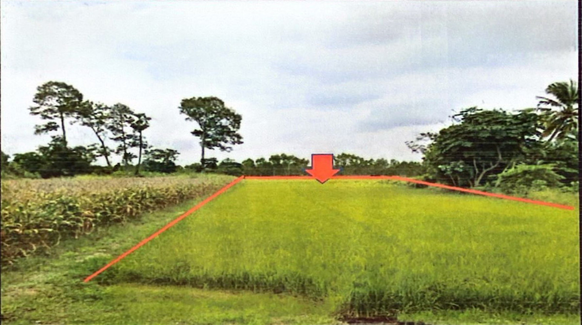 Residential land/lot Nakhon Sawan Banphot Phisai Hu Kwang 129200