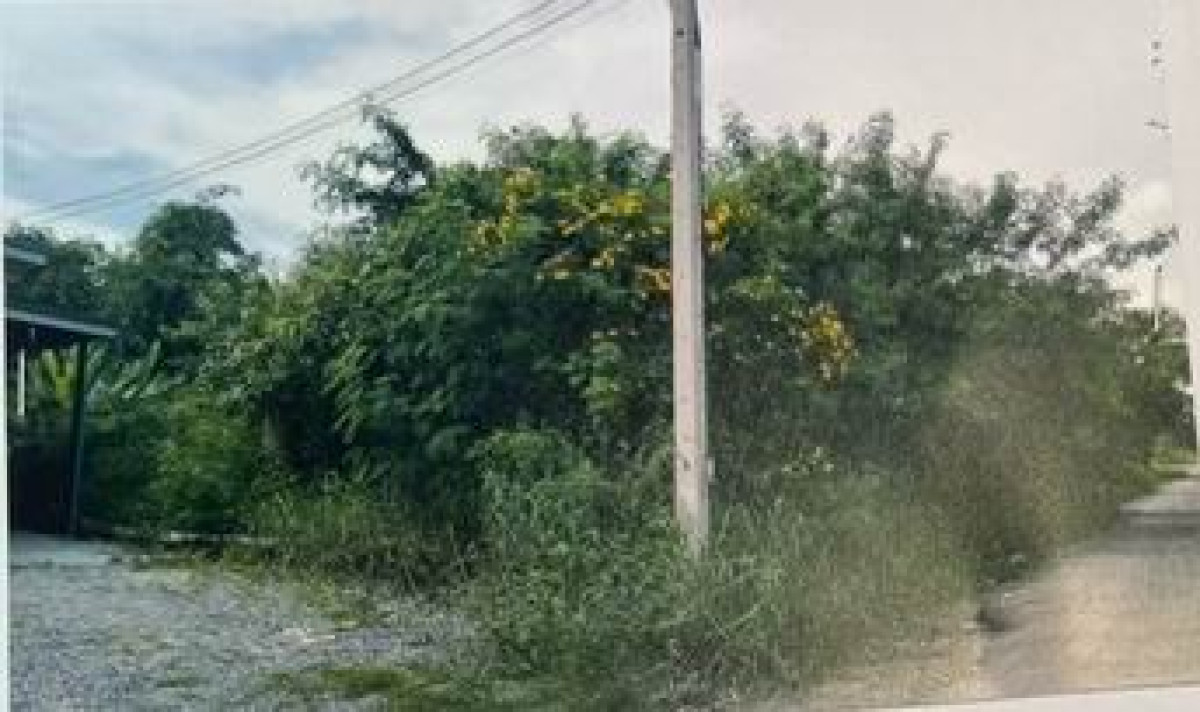 ที่ดินเปล่า นครปฐม พุทธมณฑล คลองโยง 636000