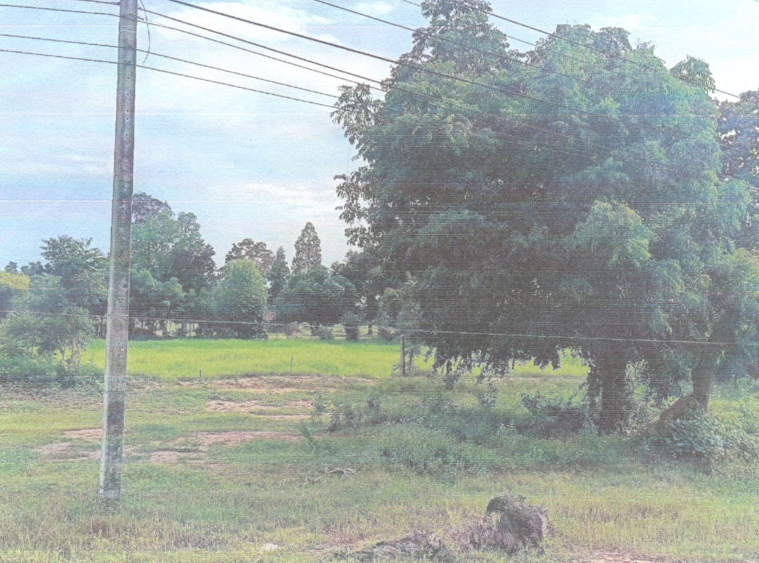 ที่ดินเปล่า ชัยภูมิ คอนสวรรค์ บ้านโสก 949440