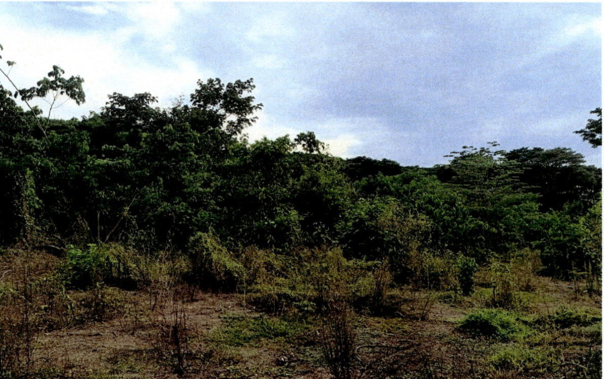 Residential land/lot Lampang Mae Phrik Mae Phrik 167000