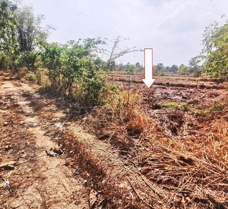 ที่ดินเปล่า อุบลราชธานี เดชอุดม ป่าโมง 260000