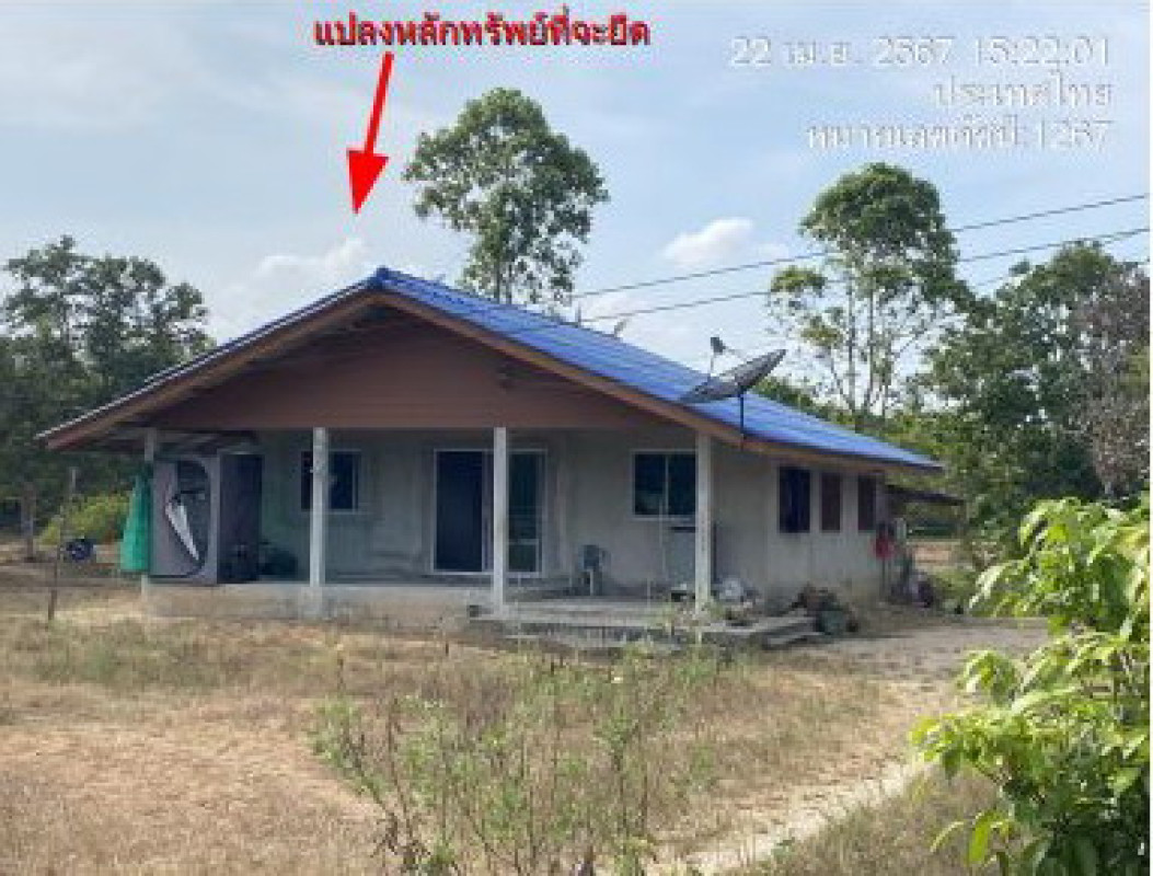 บ้านเดี่ยว นครศรีธรรมราช ท่าศาลา ท่าขึ้น 1409410