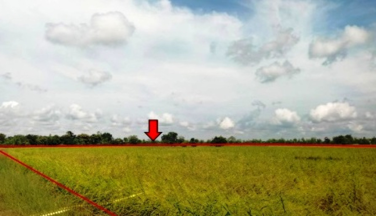 ที่ดินเปล่า กาฬสินธุ์ กมลาไสย หนองแปน 1038000