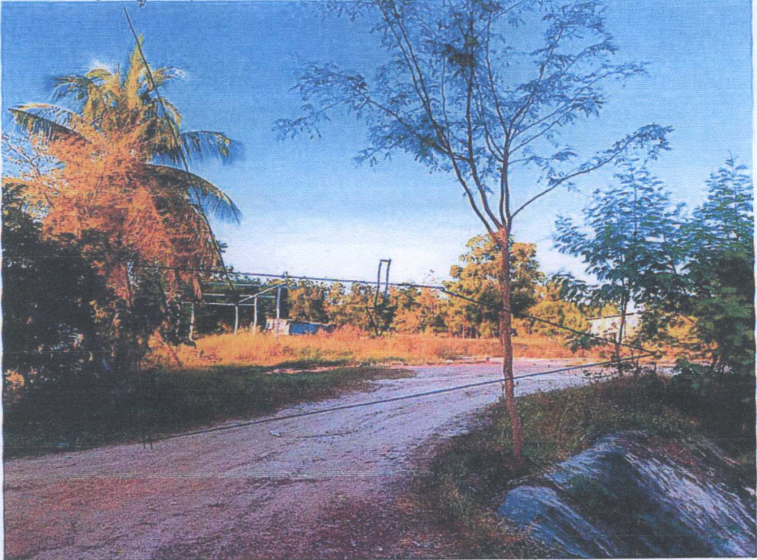 บ้านเดี่ยว นครสวรรค์ ลาดยาว เนินขี้เหล็ก 196200
