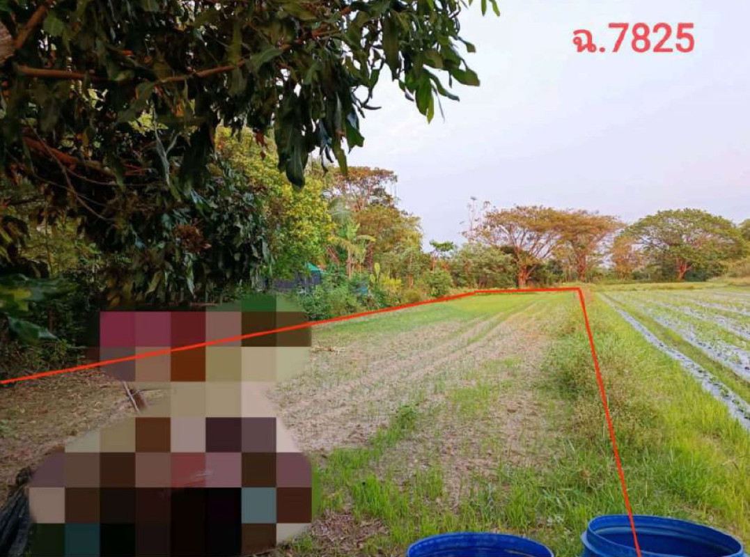 ที่ดินเปล่า เชียงใหม่ สันป่าตอง ทุ่งต้อม 150000