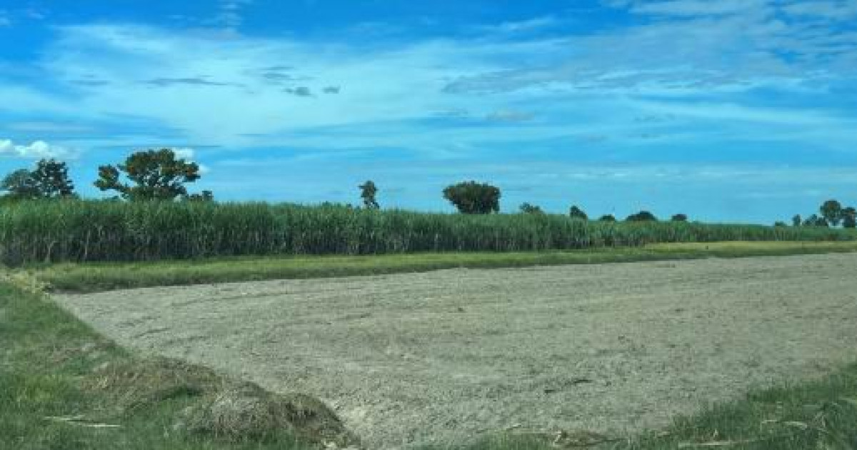 ที่ดินเปล่า มหาสารคาม ชื่นชม กุดปลาดุก 80000