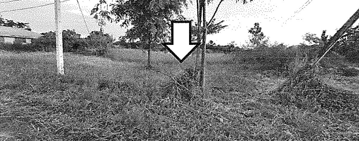 Residential land/lot Loburi Chai Badan Ban Mai Samakkhi 22500