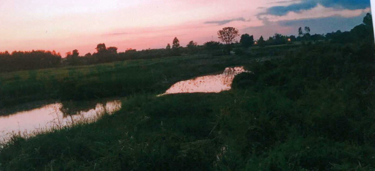 ที่ดินเปล่า มหาสารคาม เมืองมหาสารคาม ท่าสองคอน 75000