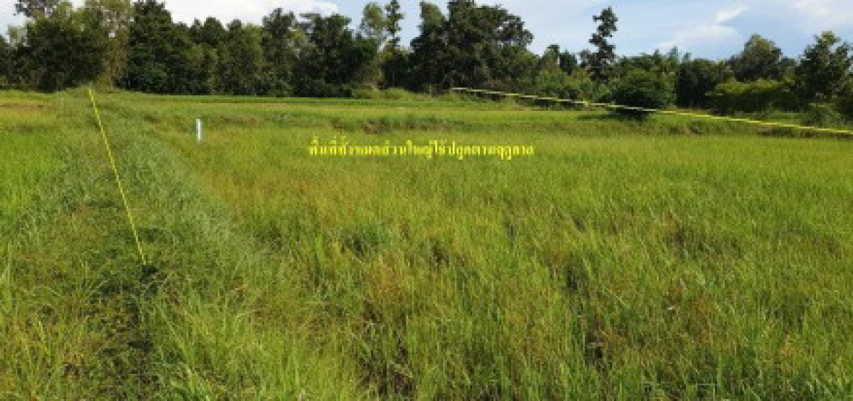 ที่ดินเปล่า กาฬสินธุ์ ร่องคำ สามัคคี 600000