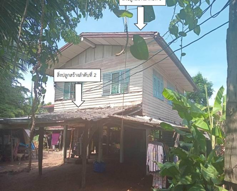 บ้านเดี่ยว มหาสารคาม กันทรวิชัย ศรีสุข 514243