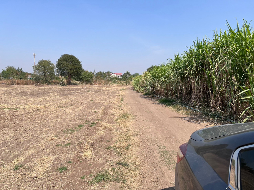 ที่ดินเปล่า สุพรรณบุรี อู่ทอง บ้านโข้ง 6500000