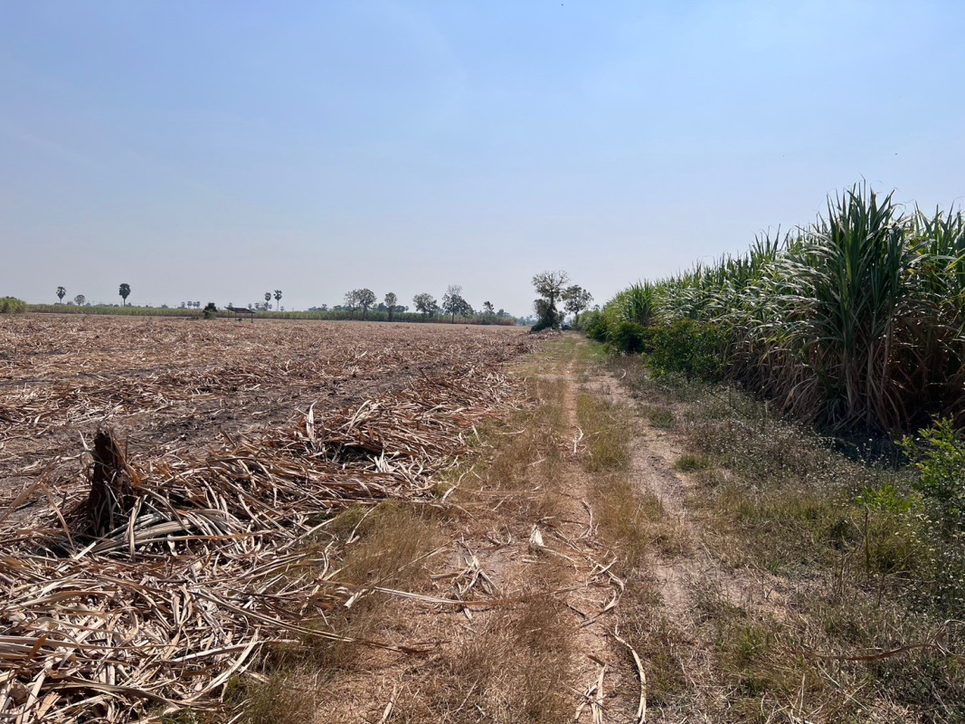 ที่ดินเปล่า สุพรรณบุรี อู่ทอง บ้านโข้ง 6500000