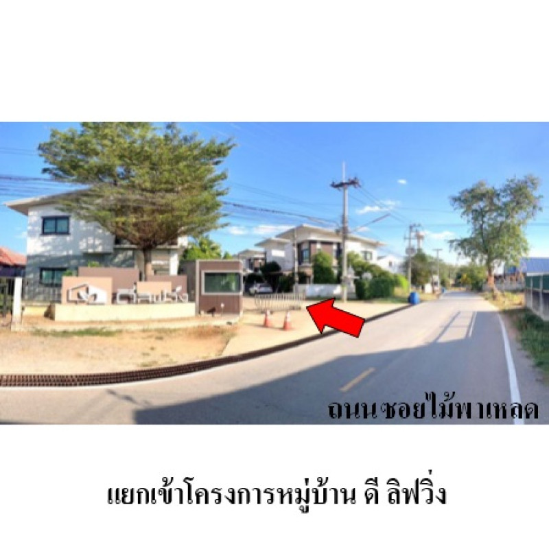 บ้านเดี่ยว ดี ลีฟวิ่ง นครราชสีมา เมืองนครราชสีมา หนองบัวศาลา 2402400