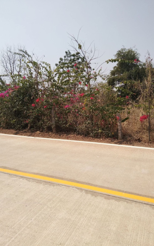 ที่ดินเปล่า นครราชสีมา จักราช สีสุก 1362000