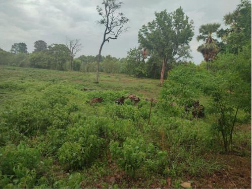 Residential land/lot Udon Thani Phen Chom Si 190000