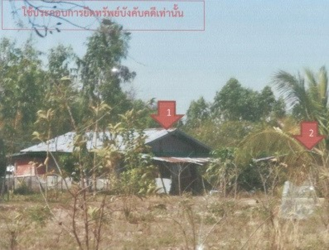 Single house Kalasin Huai Phueng Kham Bong 4037640