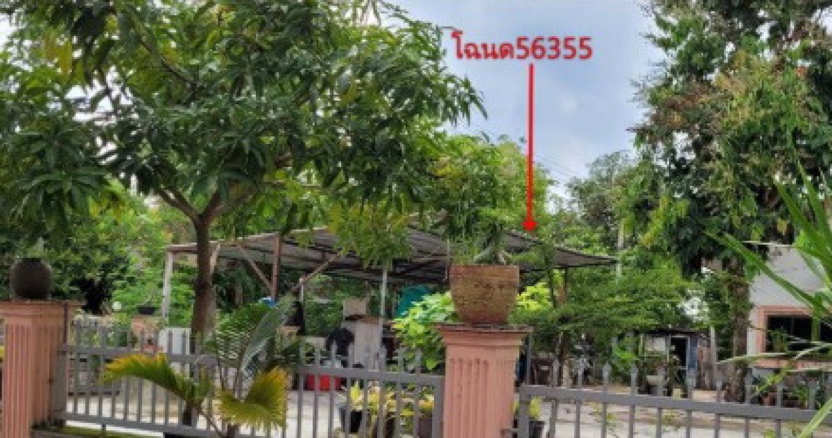 บ้านเดี่ยว สกลนคร สว่างแดนดิน บ้านถ่อน 1036860