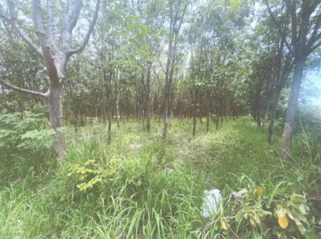 ที่ดินเปล่า ขอนแก่น หนองสองห้อง สำโรง 240000
