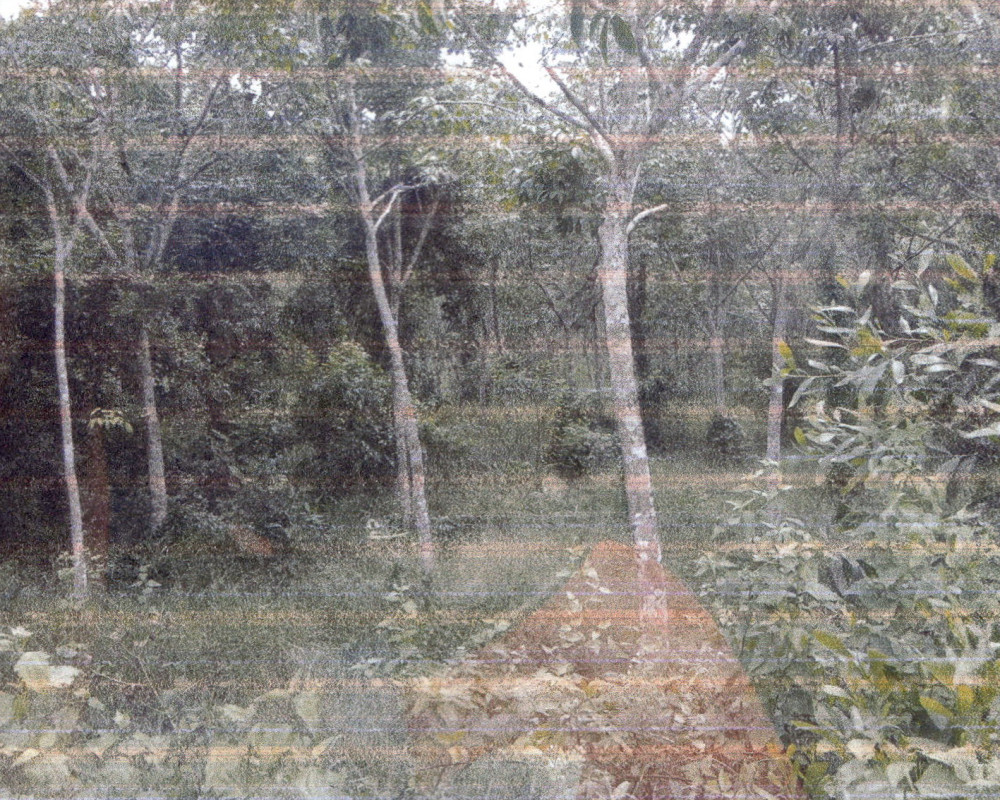 Residential land/lot Phatthalung Srinagarindra Chum Phon 1396252