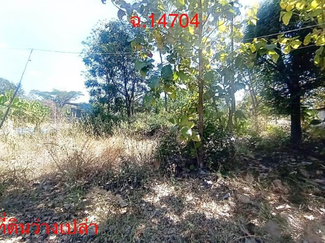 ที่ดินเปล่า ขอนแก่น แวงใหญ่ แวงใหญ่ 25300