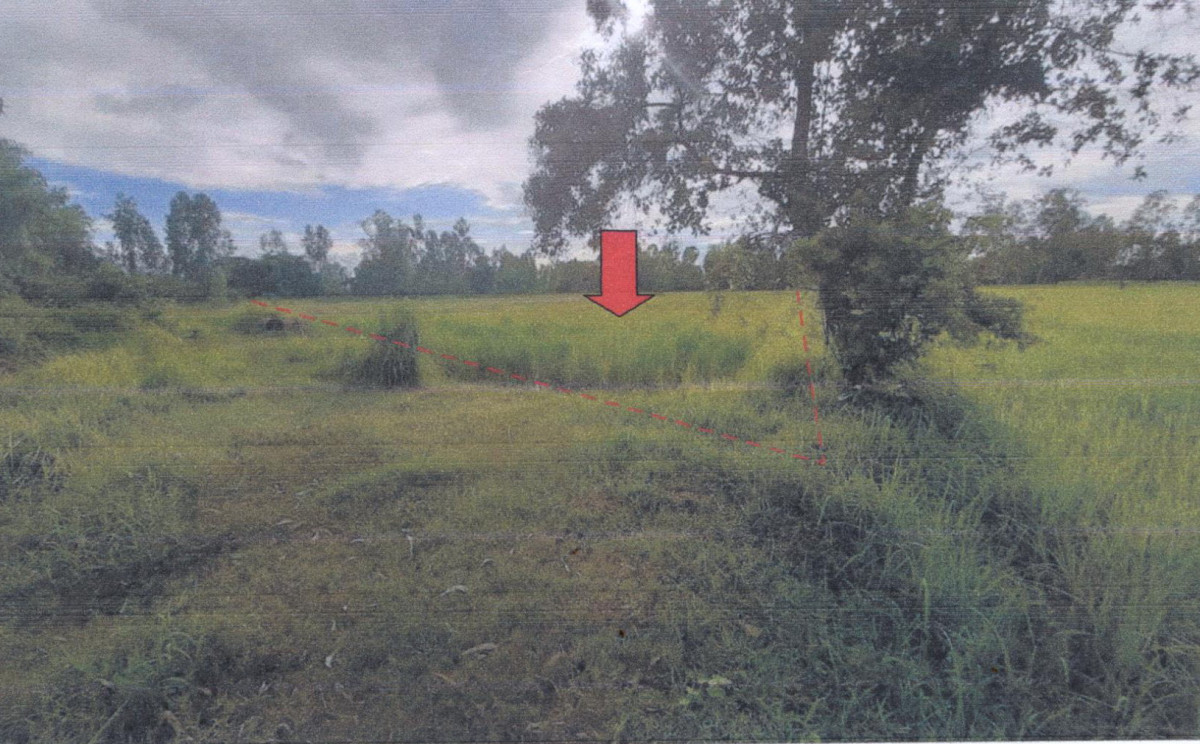 ที่ดินเปล่า ศรีสะเกษ ขุนหาญ สิ 226600