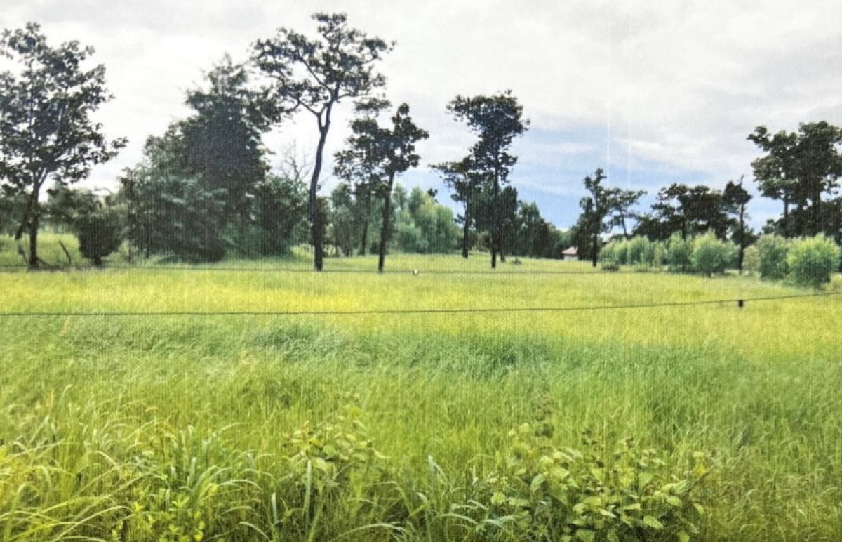 ที่ดินเปล่า อุบลราชธานี เดชอุดม เมืองเดช 33200