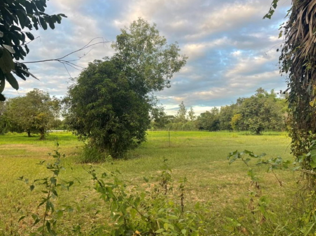 Residential land/lot Kalasin Na Khu Non Na Chan 383000