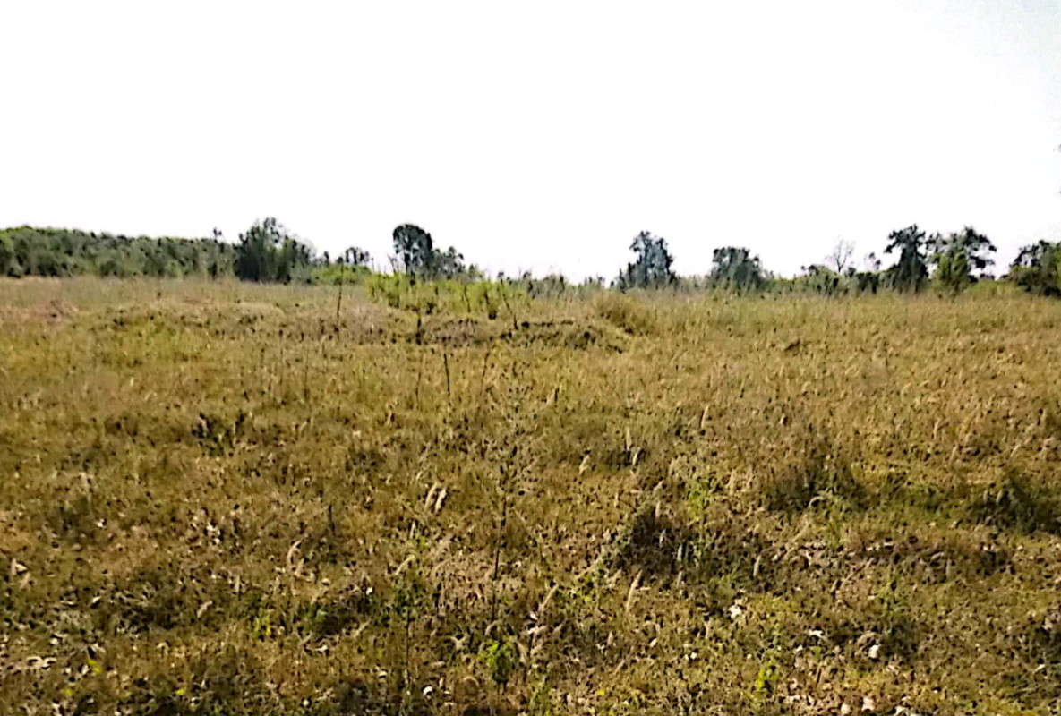 Residential land/lot Sakon Nakhon Sawang Daen Din Sawang Daen Din 150000